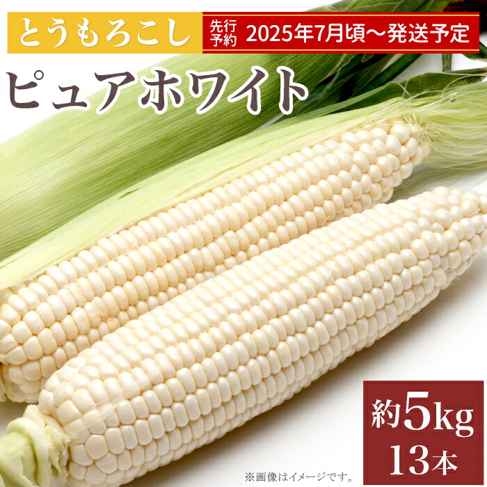 【ふるさと納税】とうもろこし トウモロコシ スイートコーン 朝採れ クール便 先行予約 2025 令和7年 326 とうもろこし ピュアホワイト 約5kg 13本 朝採れ 白 茨城 先行予約 2025年7月頃～発送予定