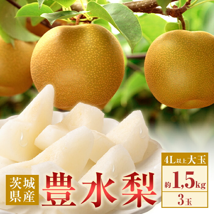 【ふるさと納税】梨 なし 数量限定 期間限定 甘い フルーツ 9月 351 豊水梨 約1.5kg 3玉 4L以上 大玉 梨 なし 【先行予約 2025年 8月下旬ころより順次発送予定】