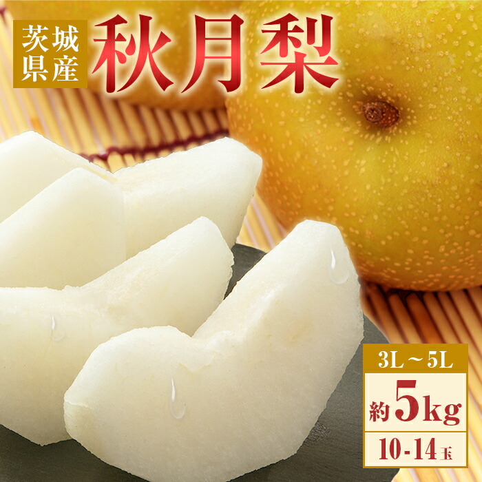 【ふるさと納税】梨 なし あきづき 数量限定 期間限定 甘い フルーツ 9月 352 秋月梨 約5kg 10～14玉 3L～5L 梨 なし あきづき 【先行予約 2025年 9月中旬ころより順次発送予定】