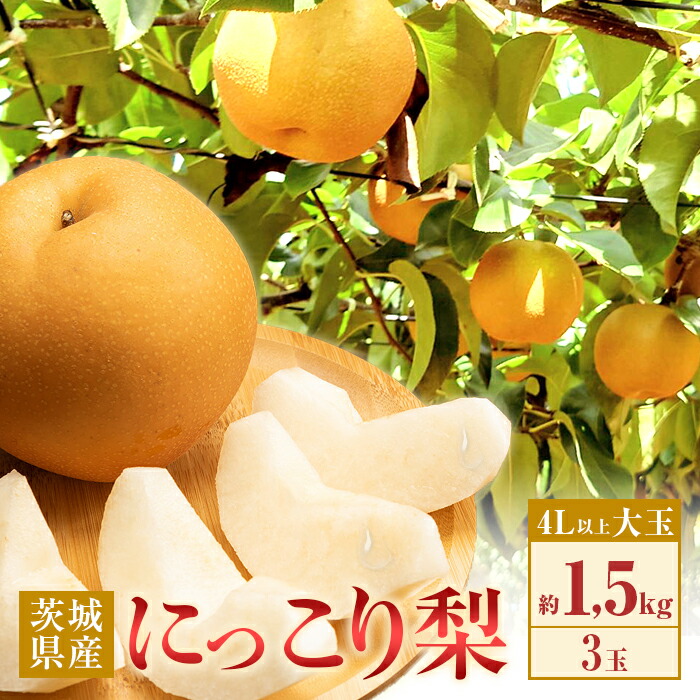【ふるさと納税】梨 なし にっこり 数量限定 期間限定 甘い フルーツ 10月 355 にっこり梨 約1.5kg 3玉 4L以上 大玉 梨 なし 先行予約 【2025年 10月上旬ころより順次発送予定】