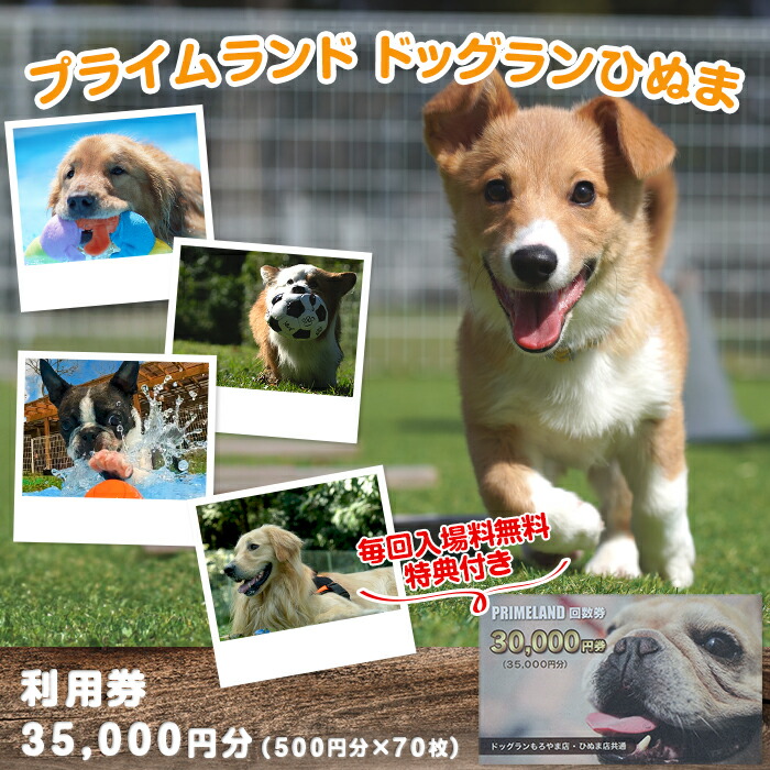 dog runページ Dog Run Dog Park in Sagamihara | Reviews and Amenities
