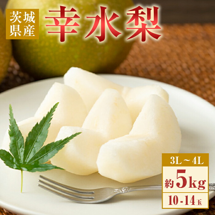 【ふるさと納税】数量限定 期間限定 甘い フルーツ 8月 485 幸水梨 約5kg 10～14玉 3L～4L 梨 なし