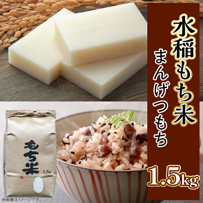 【ふるさと納税】もち米 まんげつもち 茨城 おすすめ 土づくり こだわり 直送 605 水稲もち 1升 1.5kg