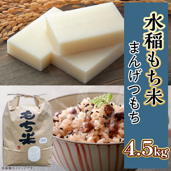 【ふるさと納税】もち米 まんげつもち 茨城 おすすめ 土づくり こだわり 直送 607 水稲もち 3升 4.5kg