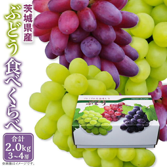 【ふるさと納税】限定 338ぶどう食べ比べ 3～4房 約2.0kg シャインマスカット 旬のぶどう 人気 食べ比べ フルーツ 先行予約【2026年8月中旬～9月上旬ごろ発送予定】