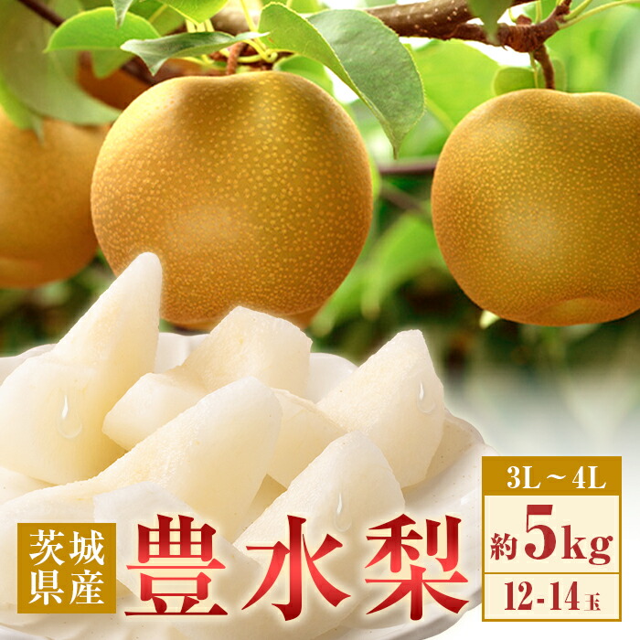 【ふるさと納税】梨 なし 数量限定 期間限定 甘い フルーツ 9月 350 豊水梨 約5kg 12～14玉 3L～4L 梨 なし 【先行予約 2025年 8月下旬ころより順次発送予定】