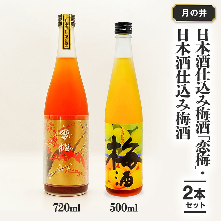 【ふるさと納税】日本酒 仕込み 梅酒 恋梅720ml 梅酒 500ml 2本 セット 月の井 大洗 地酒 国産梅 飲み比べ 茨城|茨城県大洗町