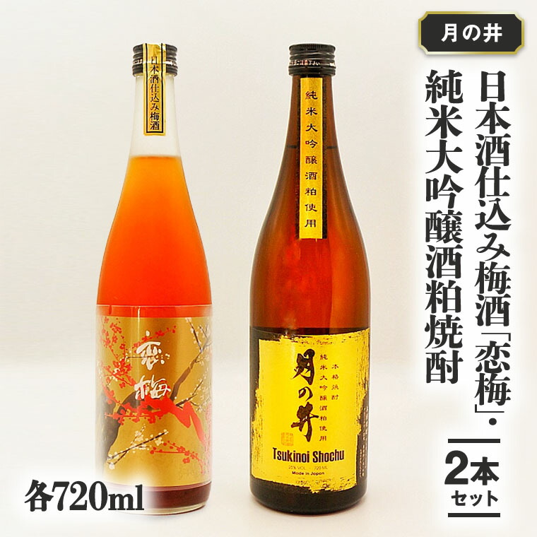 激安価格と即納で通信販売 日本酒 仕込 梅酒 恋梅720ml 純米大吟醸 酒粕 焼酎 720ml 2本 セット 酒粕焼酎 国産梅 月の井 大洗 地酒  茨城 qdtek.vn