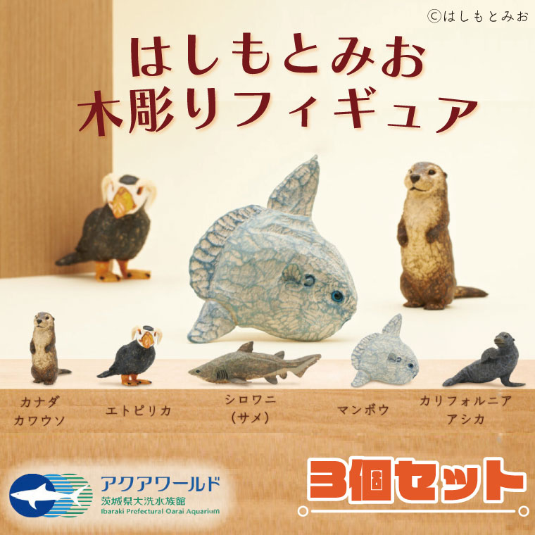 楽天市場】【ふるさと納税】ぬいぐるみ シロワニ アクアワールド 大洗 オリジナル サメ グッズ 茨城 水族館 さめ 鮫 限定 : 茨城県大洗町