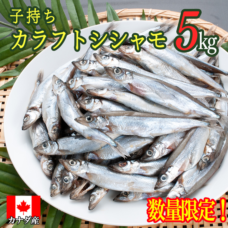 楽天市場】【ふるさと納税】訳あり ほっけ 干物 規格外 2kg （500g×4袋