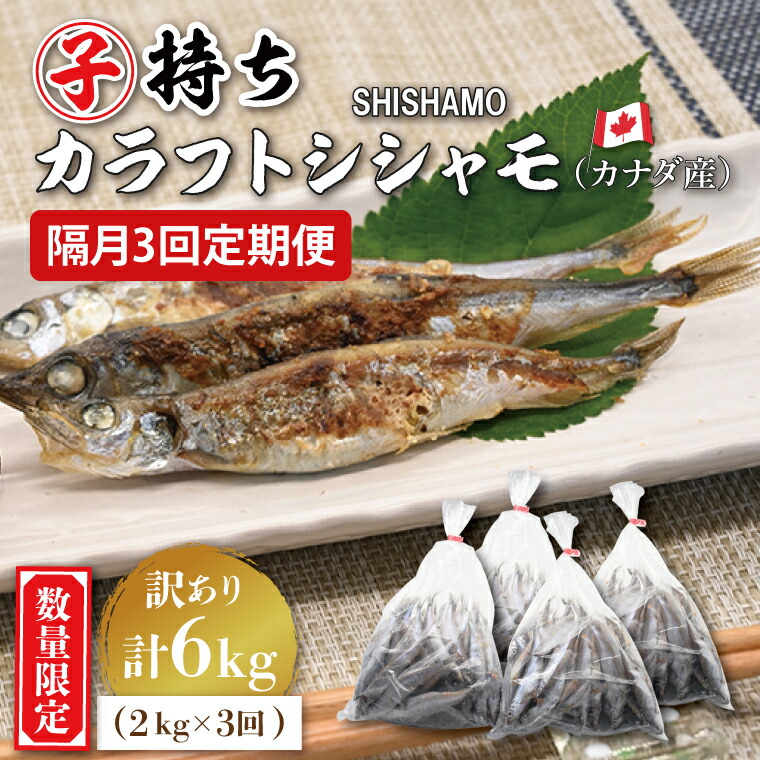 【ふるさと納税】【定期便】 子持ち カラフトシシャモ ２kg (500g×4袋) 訳アリ シシャモ ししゃも カラフトししゃも 大洗 規格外 訳あり わけあり 傷 半年お届け（2ヶ月に1度 ２kg × 3回 お届け ）