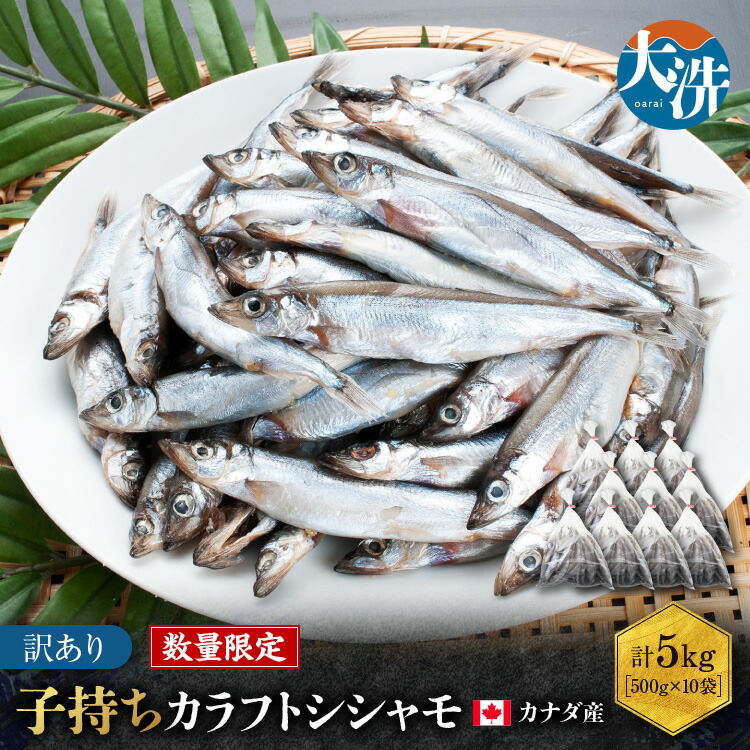 【ふるさと納税】 【数量限定】 子持ち カラフトシシャモ 5kg（500g×10袋）訳あり シシャモ カラフトししゃも 大洗 規格外 訳アリ わけあり 傷 すぐ発送