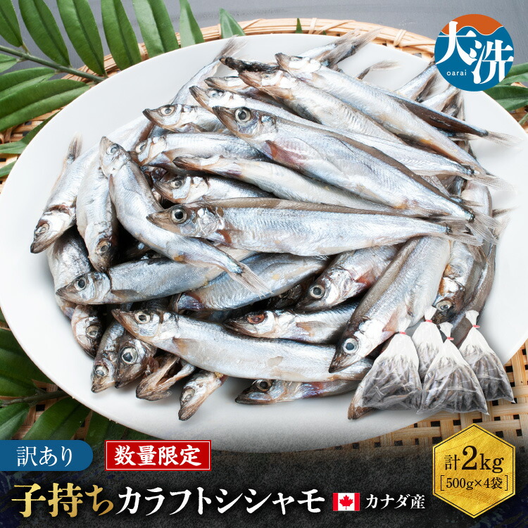 【ふるさと納税】 【数量限定！】 子持ち カラフトシシャモ ２kg (500g×4袋) 訳アリ シシャモ ししゃも カラフトししゃも 大洗 規格外 訳あり わけあり 傷 すぐ発送