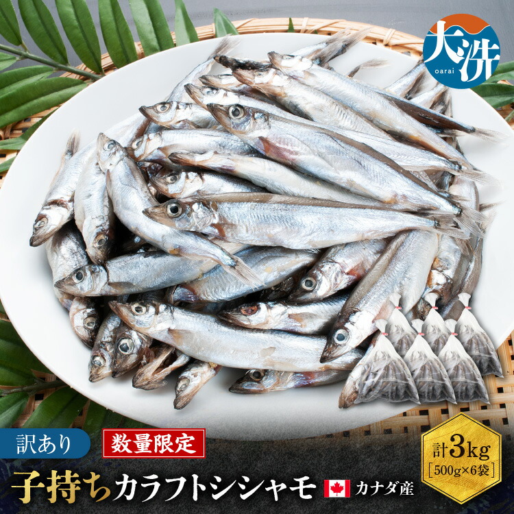 【ふるさと納税】【数量限定！】 子持ち カラフトシシャモ 3kg (500g×6袋) 訳アリ シシャモ ししゃも カラフトししゃも 大洗 規格外 訳あり わけあり 傷 すぐ発送