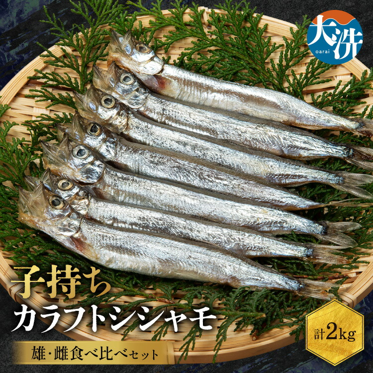 【ふるさと納税】 ししゃも雄雌食べ比べ 2ｋｇ セット 訳アリ シシャモ ししゃも カラフトししゃも 大洗 規格外 訳あり わけあり 傷 すぐ発送