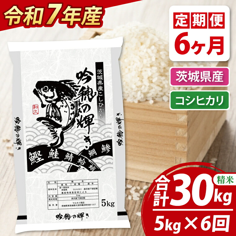 ふるさと納税 山口市 阿東こしひかり(普通精米5kg) E-082 ふるさと納税 D-190 阿東こしひかり（普通精米5kg×2） 山口県山口市 阿東
