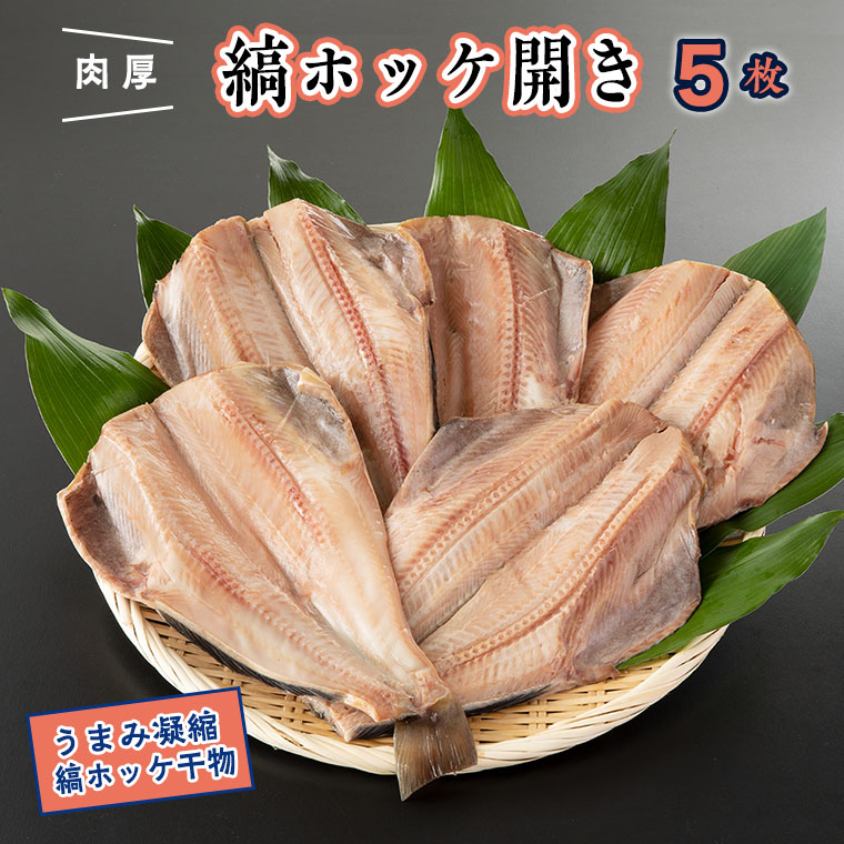 【ふるさと納税】干物 縞ホッケ開き 5枚 特大 肉厚 カジマ ほっけ 縞ほっけ ホッケ 焼き魚