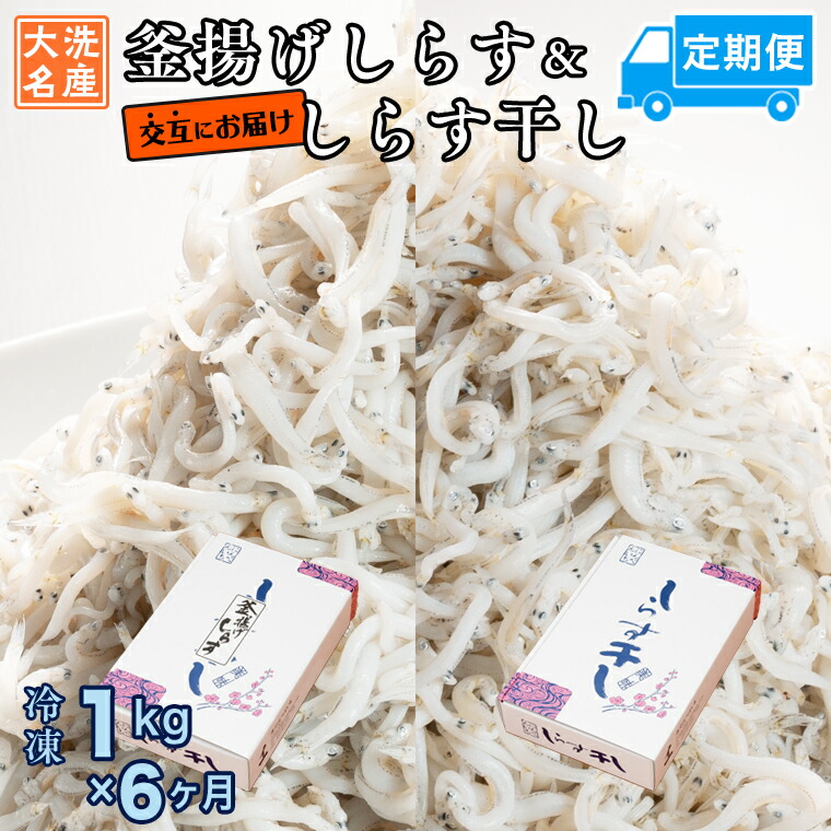 【ふるさと納税】釜揚げしらす しらす干し 交互 定期便 (1kg×6か月) 天然 ふっくら 大洗 名産 しらす シラス 魚 さかな 魚介 離乳食 しらす干し 白洲 ごはん 丼 惣菜 おかず 弁当 国産 大洗町産 冷凍 名産 特産 魚介 海鮮