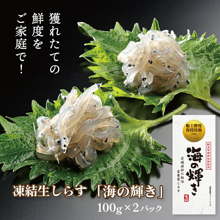 【ふるさと納税】凍結生しらす「海の輝き」 100g 2パック 小分け シラス 冷凍 生しらす しらす