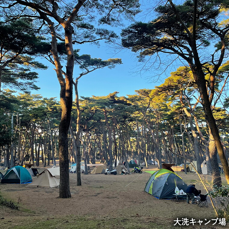 【ふるさと納税】大洗キャンプ場クーポン券3000円分（1000円×3枚）大洗サンビーチキャンプ場大洗キャンプ場チケット利用券アウトドア旅行