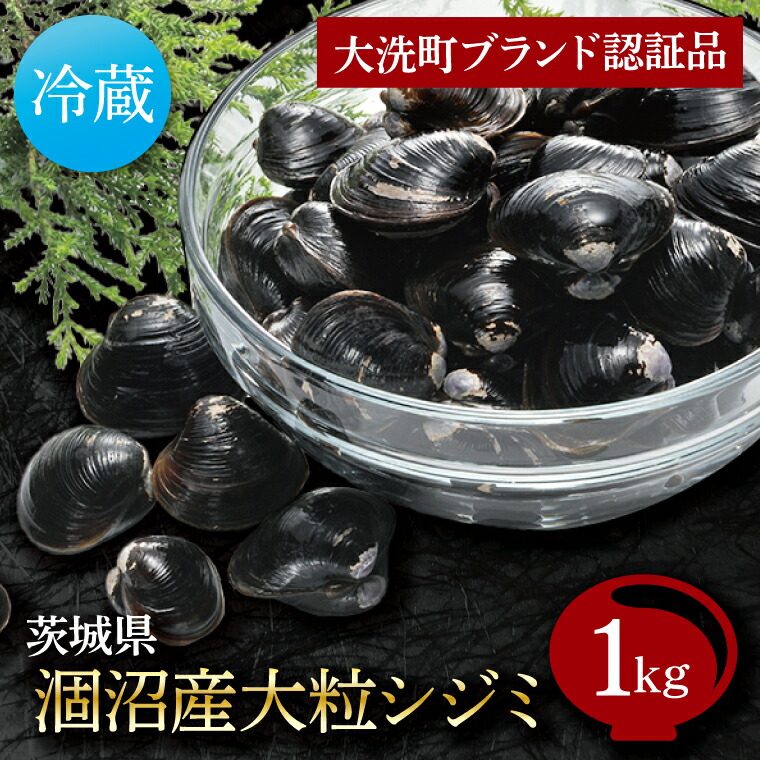 楽天市場】【ふるさと納税】涸沼産 大粒 シジミ 1kg しじみ 蜆 大和