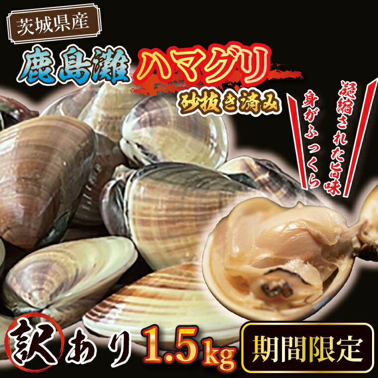 【ふるさと納税】期間限定 鹿島灘 ハマグリ 訳あり 1.5kg 砂抜き済み はまぐり 蛤 わけあり 国産 天然 茨城県産 鹿島灘産 焼き蛤 BBQ おせち お雑煮 お吸い物 ラーメン パスタ
