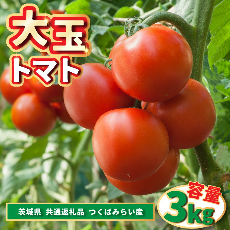 【ふるさと納税】大玉トマト　　3kg    　　(県内共通返礼品:つくばみらい市産)【配送不可地域：離島・沖縄県】 (BR086)
