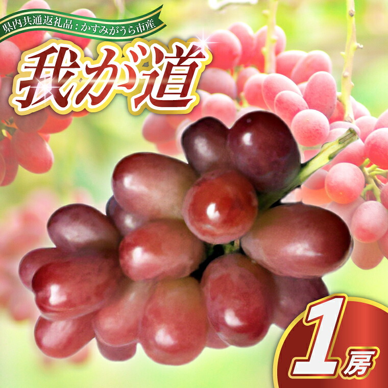 【ふるさと納税】【2026年9月より順次発送予定】我が道　1房(県内共通返礼品:かすみがうら市産)【配送不可地域：離島・沖縄県】｜茨城県城里町