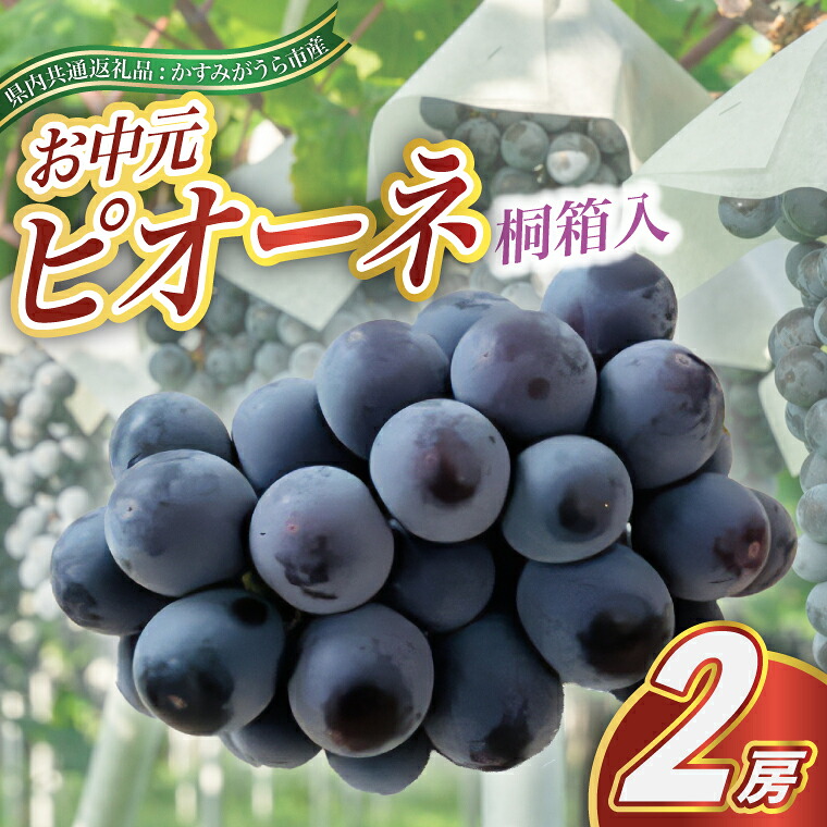 【ふるさと納税】【2026年8月より順次発送予定】お中元　ピオーネ桐箱入り2房 (県内共通返礼品:かすみがうら市産)【配送不可地域：離島・沖縄県】 (BR105)｜茨城県城里町
