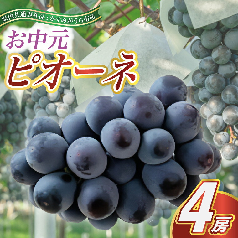 【ふるさと納税】【2026年8月より順次発送予定】お中元　ピオーネ　4房(県内共通返礼品:かすみがうら市産)【配送不可地域：離島・沖縄県】 (BR112)｜茨城県城里町 32,500円