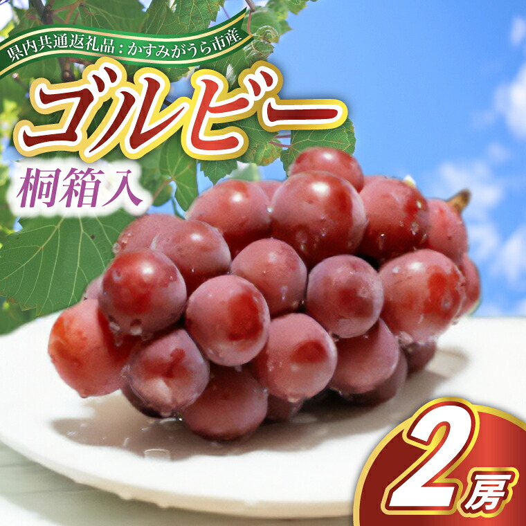 【ふるさと納税】【2026年9月より順次発送予定】ゴルビー　桐箱入り2房(県内共通返礼品:かすみがうら市産)【配送不可地域：離島・沖縄県】｜茨城県城里町