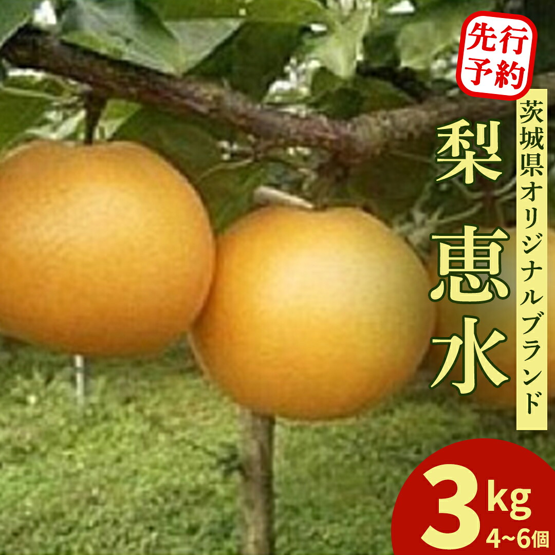 【ふるさと納税】恵水 大玉サイズ 約3kg 4～6個 梨 茨城県オリジナルブランド品種 先行予約 2026年発送 完熟 フルーツ 果物 産地直送 糖度 高い 梨 茨城 人気