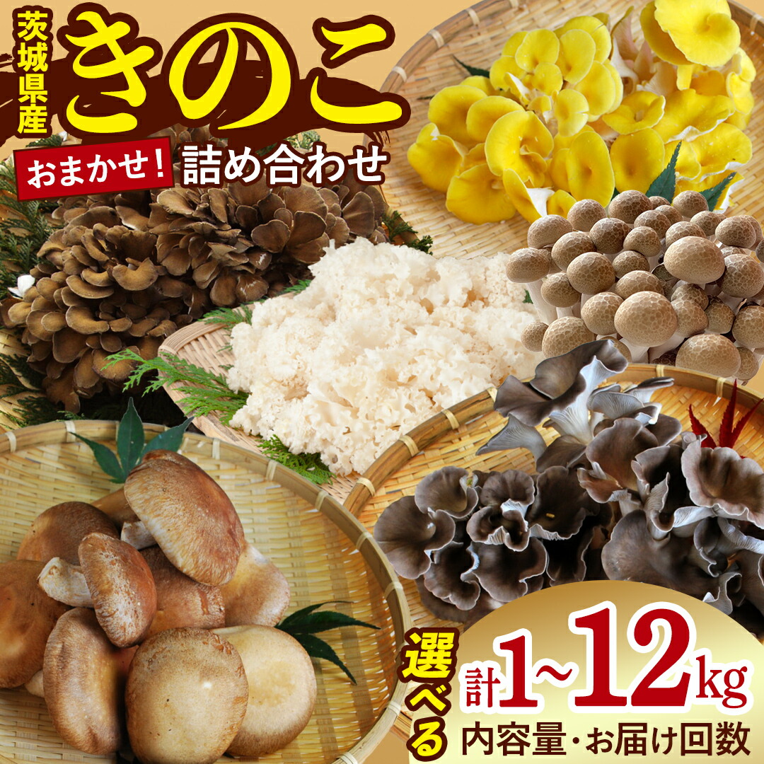 【ふるさと納税】【 選べる 内容量 & お届け回数 】きのこ の 詰め合わせ 1kg 1.5kg 2kg 定期便 3ヶ月 6ヶ月 隔月 大容量 キノコ 舞茸 あわび茸 たもぎ茸 しいたけ 花びら茸 セット 鍋 炒め物 茨城県 城里町産 完全室内栽培 栄養豊富 こだわり 直送 新鮮 セット|茨城県城里町