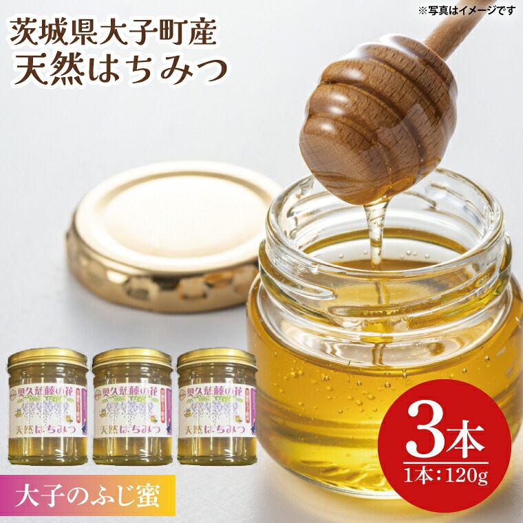 【ふるさと納税】【2026年10月～2027年4月発送】天然はちみつ【大子のふじ蜜 120g&times;3本セット】|茨城県 大子町 奥久慈 ハチミツ 蜂蜜 プレゼント 包装（BG002）｜茨城県大子町