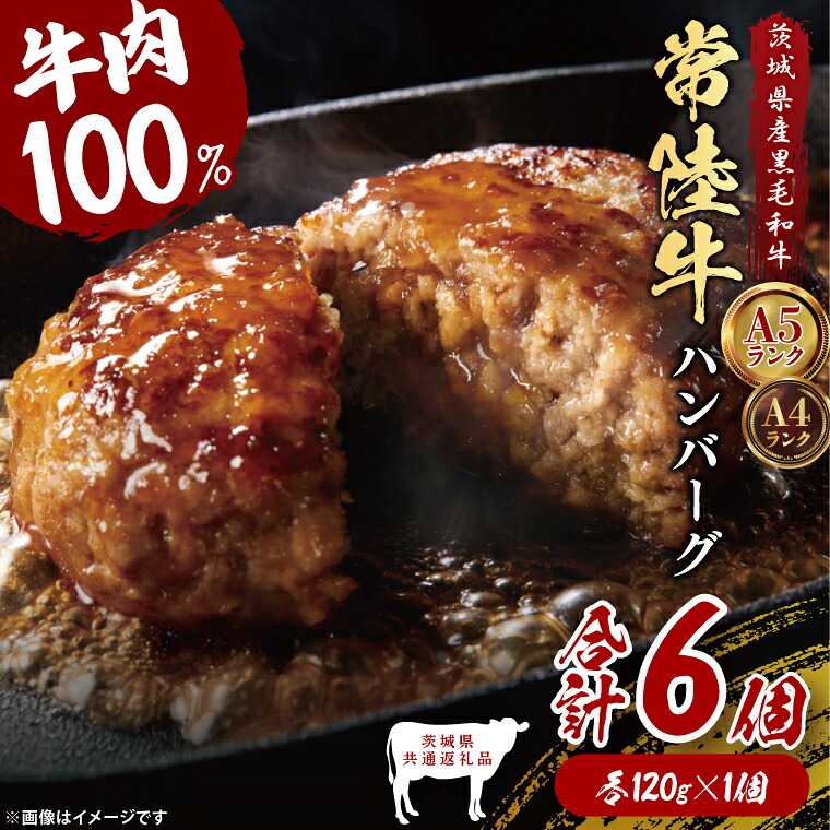 【ふるさと納税】【茨城県共通返礼品】常陸牛100% ハンバーグ 120g×6個|ブランド牛 銘柄牛 和牛 黒毛和牛 国産 A5・A4ランク 等級 お肉 牛肉 真空 小分け 個包装 茨城県 大子町(DD020)|茨城県大子町