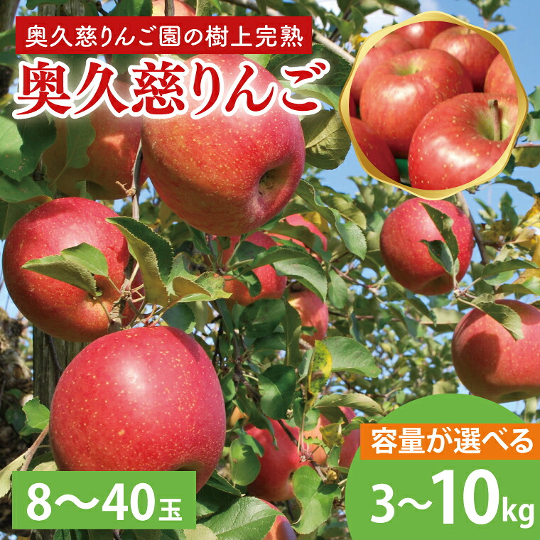 【ふるさと納税】先行予約 奥久慈 りんご 3kg 5kg 10kg 8 ～ 40玉 樹上完熟 茨城県 大子町 フルーツ 果物 国産 詰め合わせ ふじ 秋映 陽光 シナノゴールド シナノスイート 秋 旬 お取り寄せ 数量限定 【2026年9月中旬頃順次発送開始予定】(AI003-1)｜茨城県大子町