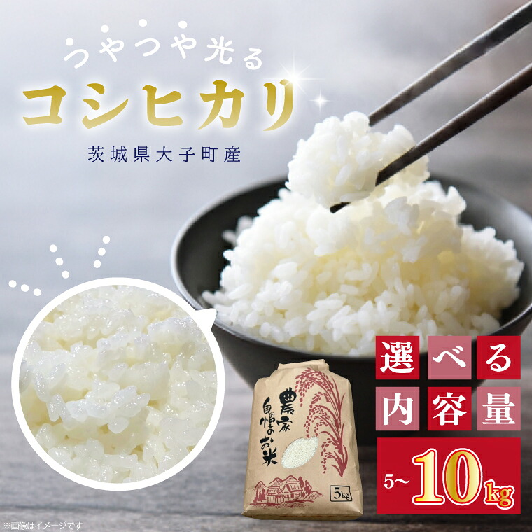 【ふるさと納税】【内容量が選べる】【 令和7年産】つやつや光る 新米コシヒカリ 5kg or 10kg 菊池農園｜茨城県 大子町 お米 白米 精米 産地直送（CL001-1）｜茨城県大子町