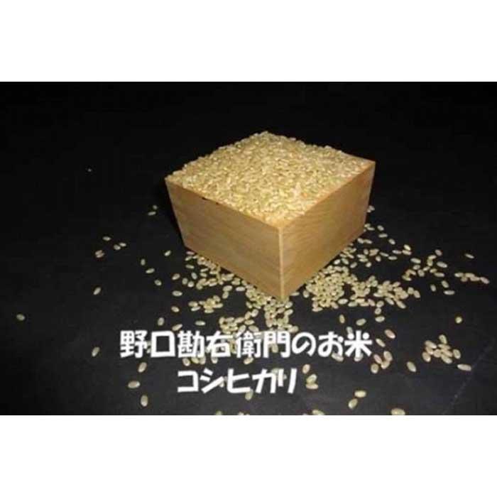 【ふるさと納税】【7年産】野口勘右衛門のお米「安心栽培米（コシヒカリ）」玄米20kg(10kg×2) 27,300円