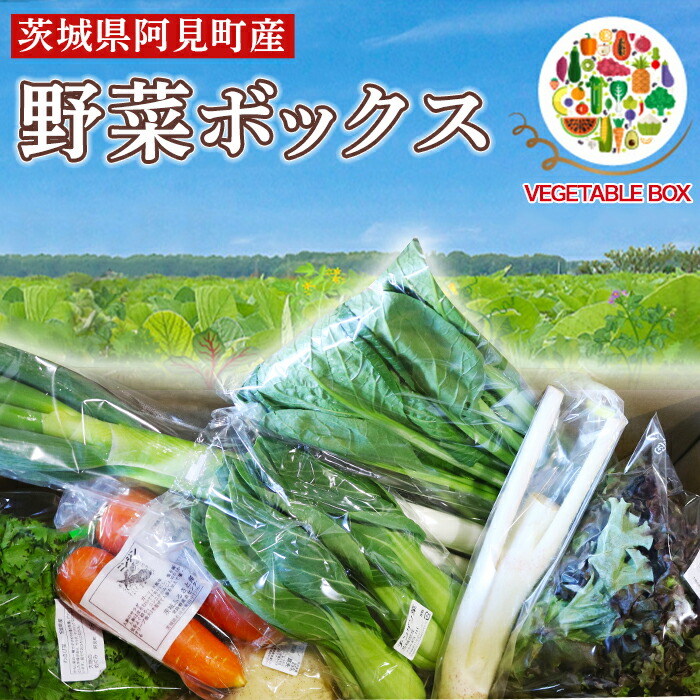 【楽天市場】【ふるさと納税】定期便 お楽しみ 20-06【3ヵ月連続お届け】阿見町産野菜ボックス（7〜8品） : 茨城県阿見町