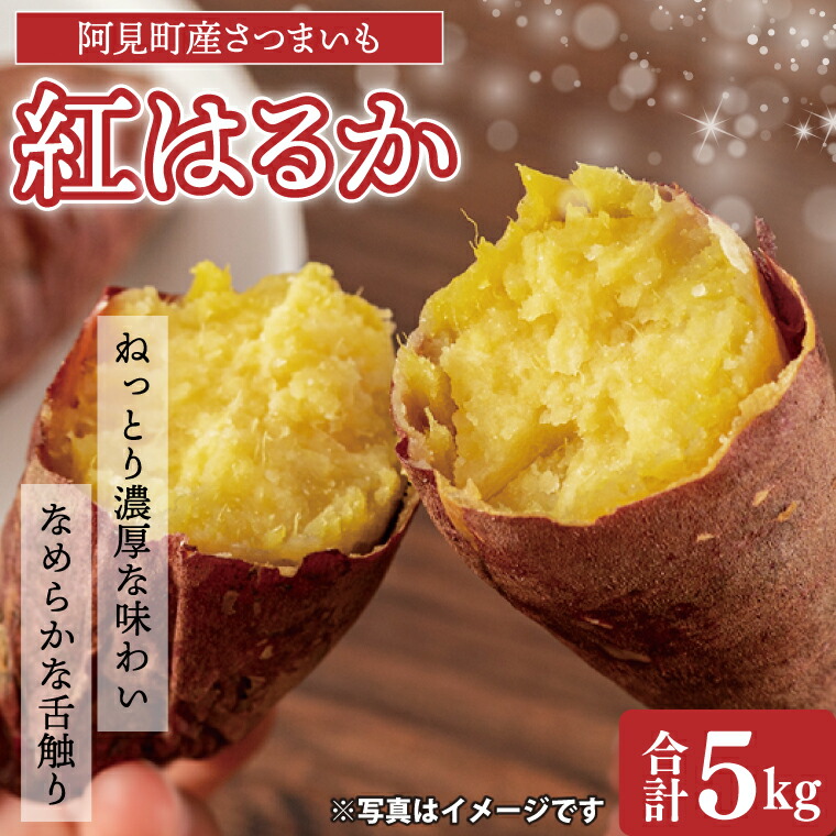 【ふるさと納税】茨城県阿見町産 さつまいも 紅はるか 5kg×1【サツマイモ 生芋 べにはるか 阿見町 茨城県】（04-10）