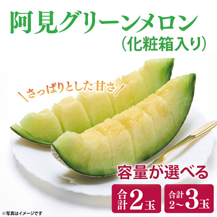 【ふるさと納税】 【選べる内容量】【 6月下旬発送予定】【数量限定】メロン 化粧箱入り 贈答 自分用 阿見グリーンメロン 数量 限定 希少 品種（04-28｜04-29）
