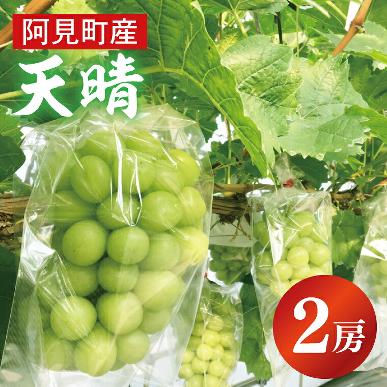 【ふるさと納税】【先行予約9月中旬発送】天晴（あっぱれ）2房【シャインマスカット 天山 葡萄 ぶどう ブドウ 果物 フルーツ】（07-01）