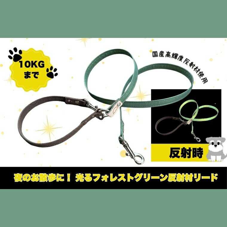 【ふるさと納税】『ギラギラ・フォレストグリーン』犬用光るリード/特注高輝度反射材使用【小型犬用10キロまで】|散歩 愛犬 夜散歩 阿見町 茨城県(40-35)