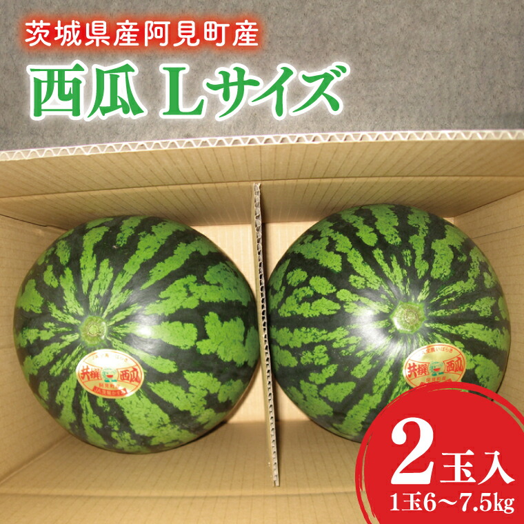 【ふるさと納税】【先行予約】【2025年6月中旬より発送予定】茨城県産大玉すいか2玉（1玉6～7.5kg）JA水郷つくば【スイカ 西瓜 フルーツ 果物 くだもの 大玉 茨城県 阿見町】(20-04)