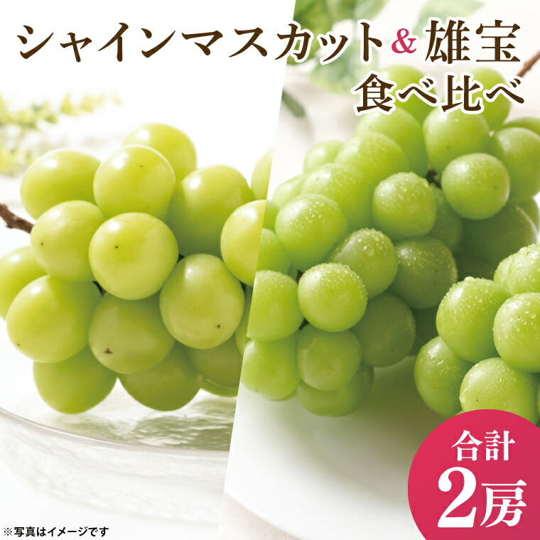 【ふるさと納税】49-05【先行予約】【2025年10月以降発送】 シャインマスカット 雄宝 食べ比べ【マスカット ぶどう ブドウ 葡萄 フルーツ 果物 阿見町 茨城県】