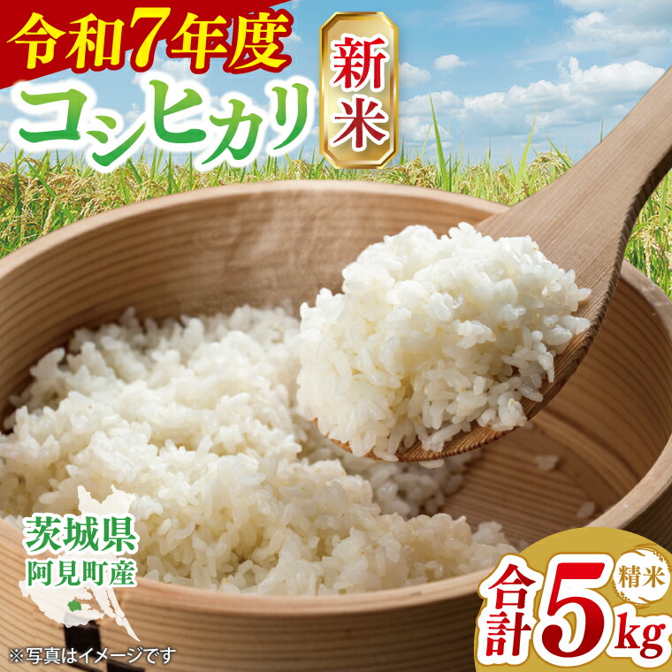 楽天市場】【ふるさと納税】【令和5年産】 コシヒカリ 白米 5kg