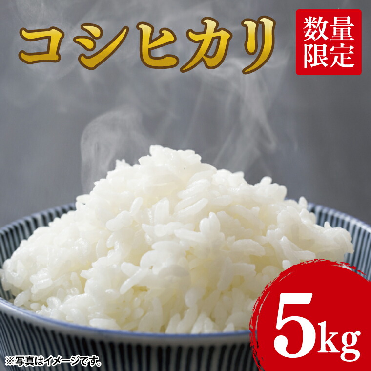 【ふるさと納税】【10月中旬より発送】コシヒカリ5kg【令和7年産新米】【米 おこめ こしひかり 農家直送 直送 茨城県 阿見町】（68-01）