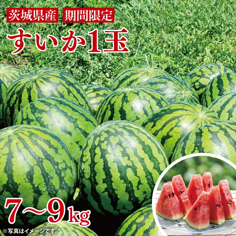 【ふるさと納税】【先行予約】西瓜 7kg～9kg（1玉入）【山崎農園】（2025年5月下旬～7月中旬頃にお届け）【茨城県 阿見町 スイカ 1玉 すいか 西瓜 果物 くだもの フルーツ 国産 甘い 送料無料】（70-01-1）