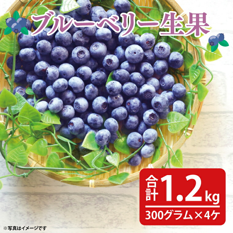 【ふるさと納税】【先行予約】完熟ブルーベリー1.2kg（300g×4パック）【2025年6月下旬ころから順次発送予定】(19-01-1)