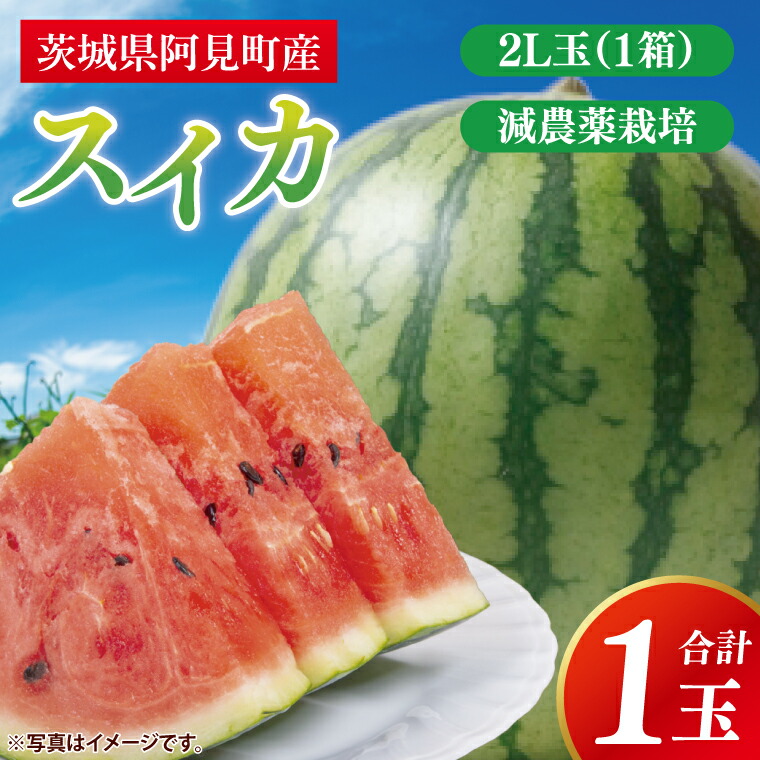 【ふるさと納税】【先行予約 6月下旬から順次配送】スイカ　2L玉　１ケ入【新鮮 野菜 フルーツ 甘い すいか 西瓜 茨城県 阿見町産】(73-02)